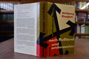 Nach Rußland und anderswohin. Empfindsame Reisen..