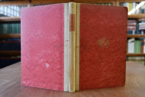 Hölderlin und seine heimliche Maid. Roman.