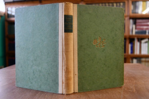 Die Maid von Senftenau. Ein Bodensee-Roman.