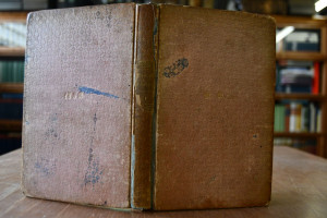 Novalis Schriften. Erster Theil.