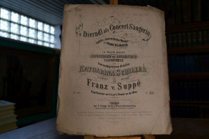 `s Dierndl als Concert-Sängerin. Gedicht in öst...