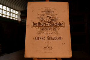Les fleurs de Topschider. Valse pour le Piano. ...