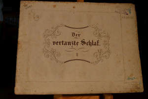 Zauberschleier-Walzer für das Piano-Forte nach ...