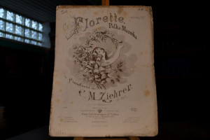 Florette. Polka Mazurka für das Pianoforte. 68....
