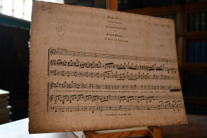 Romance aus der Operette Die Beyden Füchse.