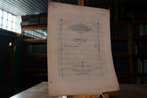 Prinz Eugen der edle Ritter.