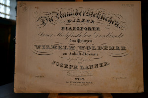 Die Unwiderstehlichen. Walzer für das Pianofort...