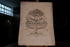 Brennende Liebe. Polka Mazur für das Pianoforte...