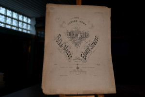 Thauperle. Polka-Mazur für das Pianoforte. Herr...