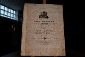 Stelzhammer`s Lieder in obderenns`scher Mundart...