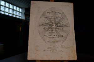 Der Wanderer. Gedicht von E.J. Müller. Der arme...