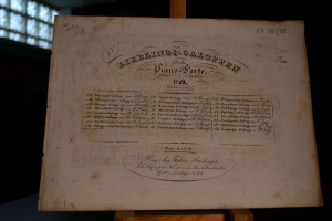 Galopp aus der Oper Die Falschmünzer. 14. Werk.