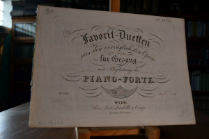 Duetto für 2 Basse (Un segreto d`importanza; Ei...