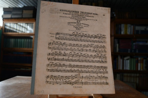 Erinnerung an Italien. Skizzen mit Benützung it...