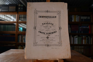 Nähe des Geliebten. Gedicht von Goethe. Immorte...