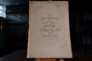 Rondo Allegretto. Composed arranged and fingere...