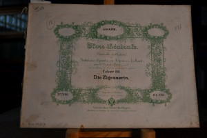 Fantaisie ou Potpourri sur des Themes favoris d...