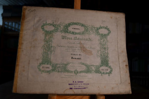 Fantasie ou Potpourri sur des Themes favoris de...