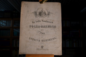 La belle Viennoise. Polka-Mazurka pour le Piano...