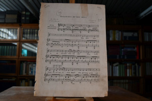 Treasures of the deep.