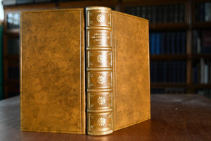 Die göttliche Ordnung in den Veränderungen des ...