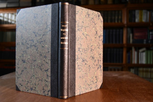 Über den Ursprung und die Hauptgesetze des wirt...