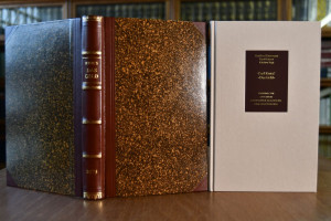 Das Geld. Darlegung der Grundlehren von dem Gel...