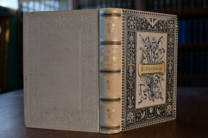 Blütenzweige. Christliche und sinnige Gedichte ...