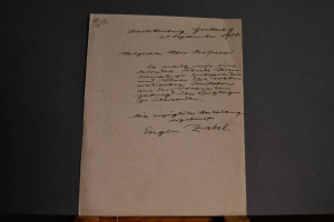 Handschriftliches Schreiben des deutschen Journ...