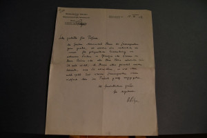 Handschriftliches Schreiben des deutschen Botan...