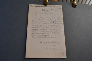 Schreiben des deutschen Sprach- und Vorgeschich...