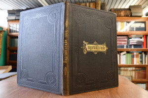 Jugendfreude. Ein illustriertes Sonntagsblatt f...