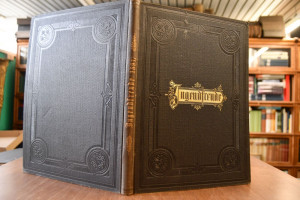 Jugendfreude. Ein illustriertes Sonntagsblatt f...