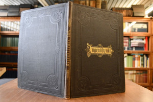 Jugendfreude. Ein illustriertes Sonntagsblatt f...