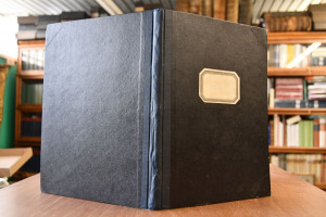 Jugendfreude. Ein illustriertes Sonntagsblatt f...