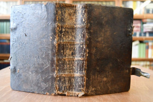 Johann Friedrich Starcks, Evangelischen Predige...