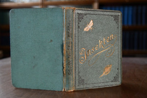 Insekten-Büchlein. Die wichtigsten Feinde und F...