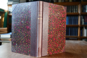 George Meredith. Drei Versuche.