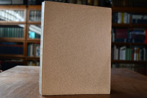 Die trunkenen Demiurgen. Cosmische Satire.