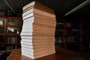 Jahresbericht des historischen Vereins für Stra...