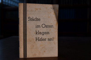Städte im Osten klagen Hitler an!