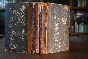 Dramatische Dichtungen. Nebst einer Abhandlung ...