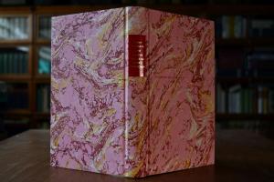 Goethe und seine lieben Deutschen. Ansichten ei...