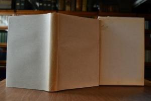 Kranken-Physiognomik.