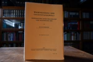 Wahrnehmung und Gegenstandswelt. Grundlegung ei...