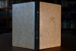 Veronika und Angela. Eine Mutter raubt ihr Kind.