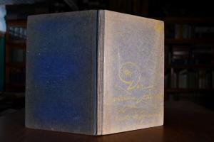 Der goldene Schnitt. Eine Erzählung aus dem Ing...