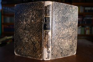 Spiegel edler Pfarrfrauen. Eine Sammlung christ...