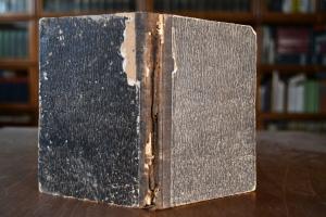 Züge aus der Lebensgeschichte des portugiesisch...