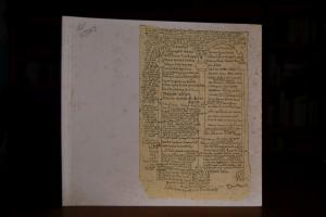 Boll, Dürnau, Gammelshausen, drei Dörfer, eine ...